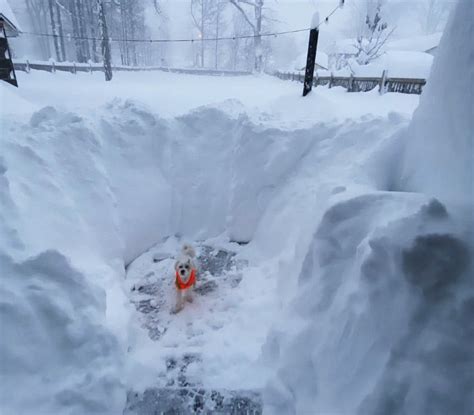 Buffalo region continues to be bombarded with lake-effect snow - Record-setting storm buries ...