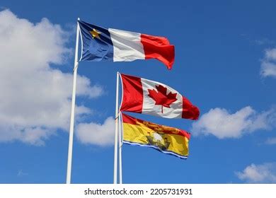 Flag Canada New Brunswick Acadians People Stock Photo 2205731931 | Shutterstock