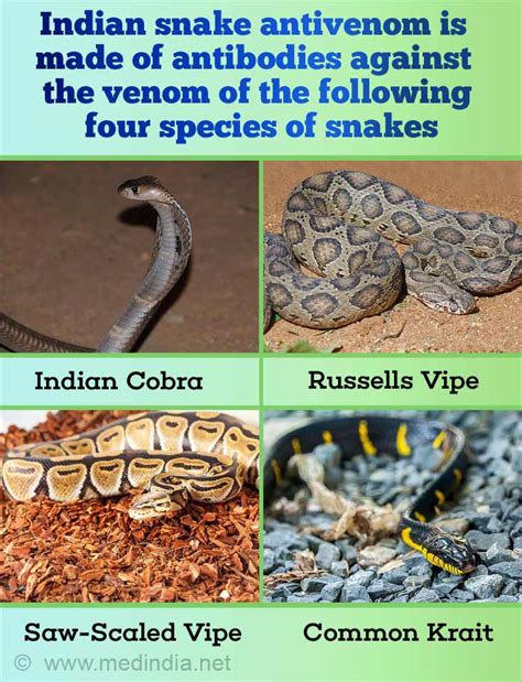 Indian Snake Antivenom - An Overview