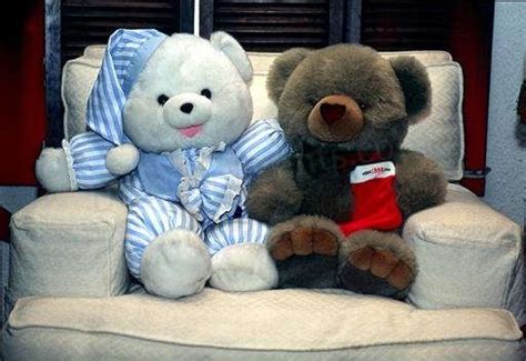 Cute Teddy Bear Couple - Desi Comments