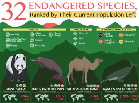 32 Endangered Species Ranked by Their Current Population Left ...