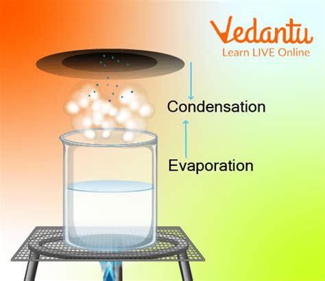 Evaporation Examples For Kids