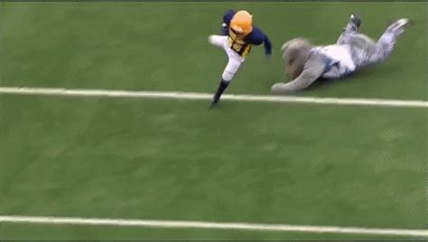 Minnesota Wild Mascot Football GIF by Nordy Wild - Find & Share on GIPHY