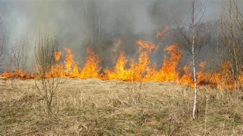 When is Arizona's wildfire season and how has it changed over time?