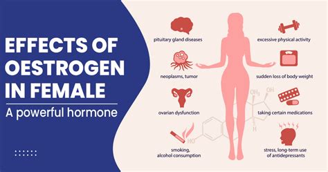 Effects of oestrogen in female