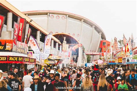 A Guide to Calgary Stampede: Everything You Need to Know — LAIDBACK TRIP