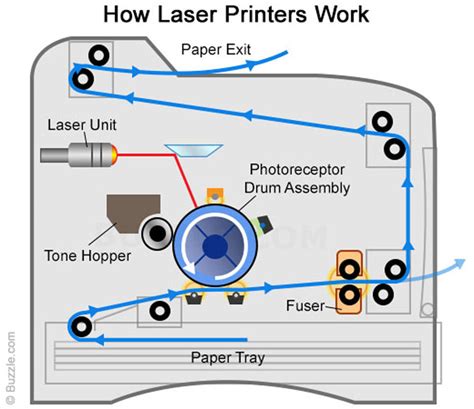 Máy In Laser Là Gì? Cấu Tạo Và Nguyên Lý Hoạt động Ra Sao? Mua Của Hãng ...