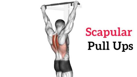 Scapular Pull-Ups: The Secret to Shoulder Strength and Stability