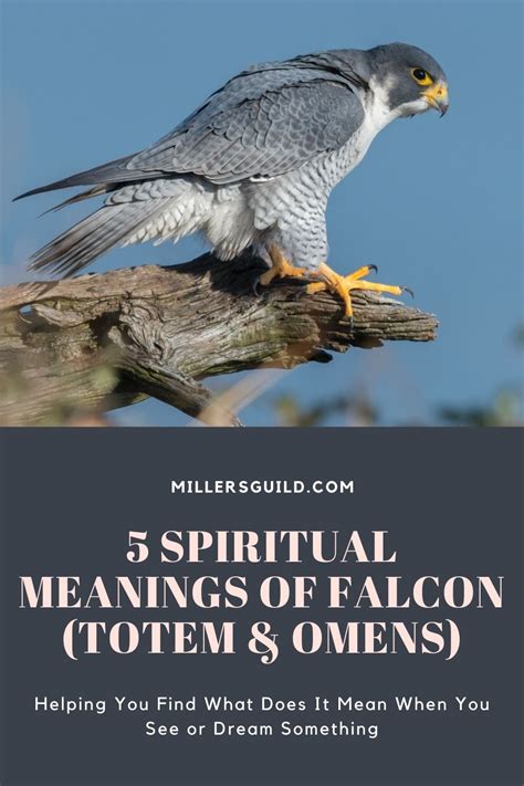 5 Spiritual Meanings of Falcon (Totem & Omens)