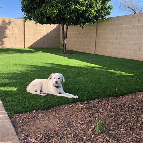 How To Lay Astro Turf For Dogs On Dirt | Storables