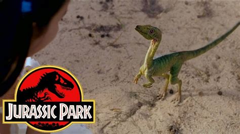 Compsognathus Jurassic Park