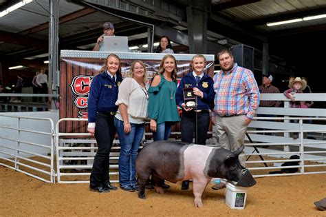 Livestock Exhibits – Florida Gateway Fairgrounds formerly Columbia ...