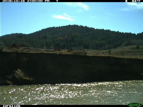 Restoration at 100 Tree Site — Blackfoot River Wildlife Management Area