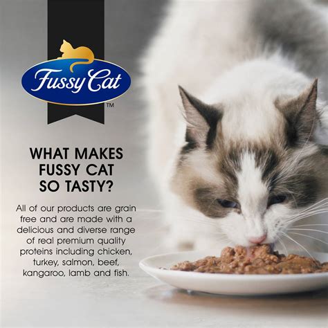 Fussy Cat Grain Free Adult Wet Cat Food Slices & Chicken Jelly 80g X 12 ...