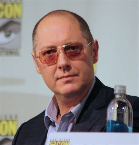 Category:Season 1 Cast | The Blacklist Wiki | Fandom