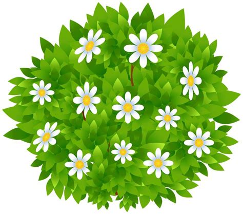 Flowers Bush Transparent PNG Clip Art Image | Gallery Yopriceville - High-Quality Images and ...