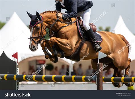 28.161 Horse Show Jump Images, Stock Photos & Vectors | Shutterstock