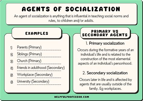 Understanding Socialization In Sociology, 41% OFF