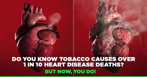 This Descriptive Video Reveals How Smoking Cigarettes Can Damage Your Heart