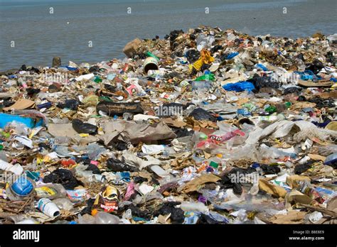 Human Waste on the Senegal River in St Louis in Senegal Africa Stock ...