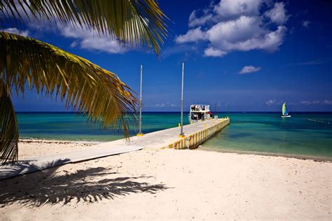 Allegro Cozumel Resort & Pro Dive Mexico dive packages, facilities, pricing, reviews and ...