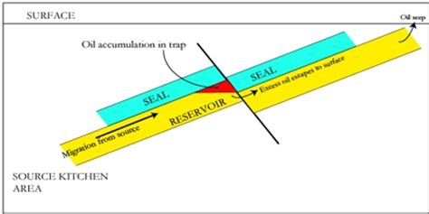 Petroleum Geology - Assignment Point