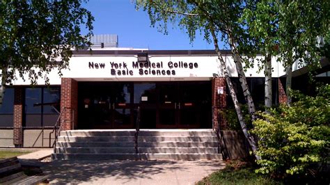 New York University School of Medicine - School Choices