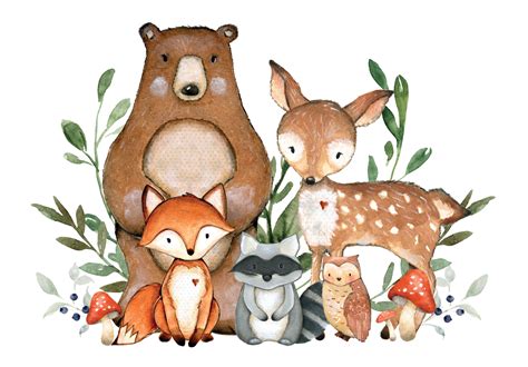 Watercolor Woodland Animals Png 523 Download