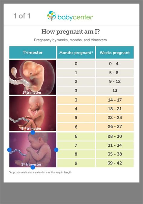 Pin by Terrell Peterson on Baby announcement | 2nd trimester of ...