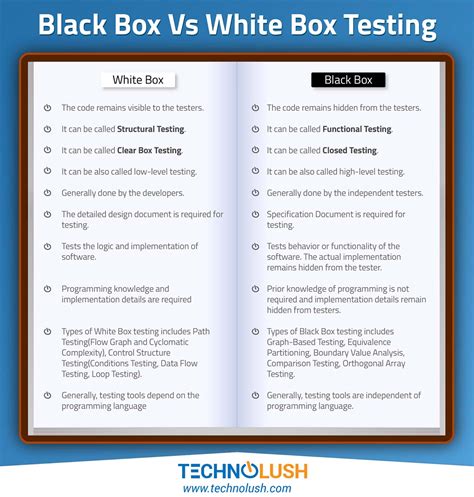 Black Box Vs White Box Testing | TechnoLush