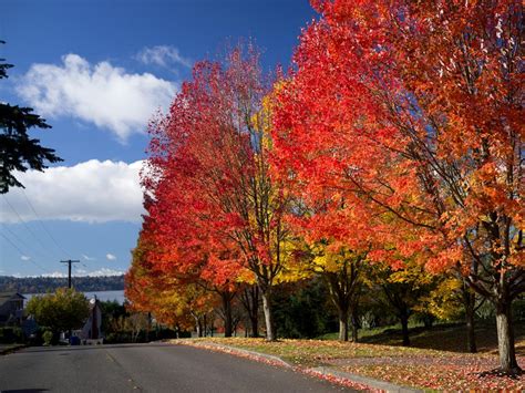 Best Fall Foliage in the US : TravelChannel.com | Travel Channel