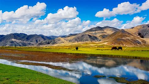 Tibet Scenery Picture And HD Photos | Free Download On Lovepik