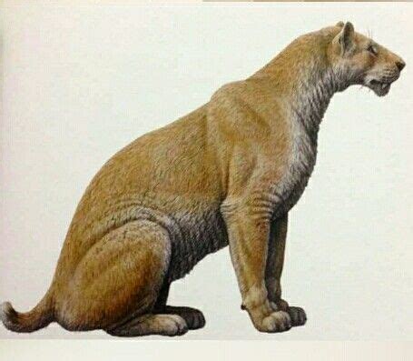 Homotherium. | Dinosaurios, Animales, Prehistoria