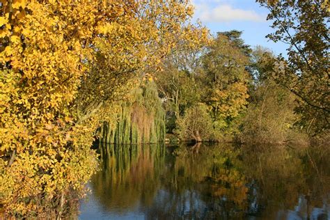 River Thames and Magna Carta Island, Runnymede - Beautiful England Photos