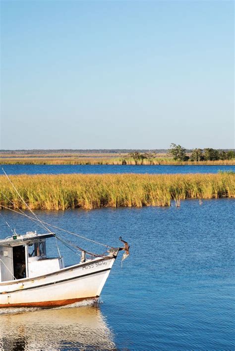 Apalachicola is brimming with charm. From relaxing in a historic inn, to savoring oysters, to ...