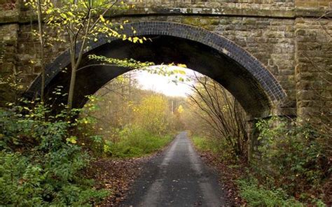 A family cycling guide to Wyre Forest