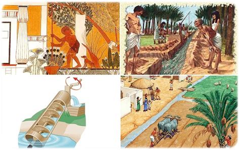 Ancient Egyptian irrigation methods | Egy king