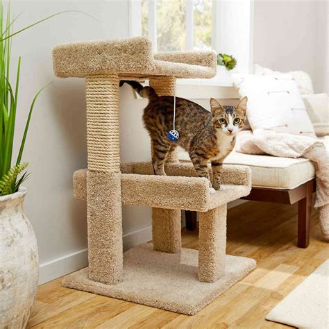 11 Cat Trees for Apartments and Small Spaces