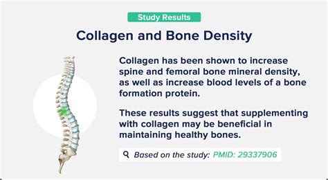 Bovine Collagen: Benefits, Types, and Side Effects - The Nutrition Insider