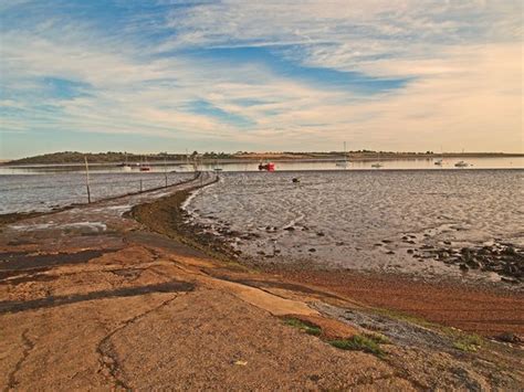 Oare Marshes Nature Reserve - 2020 What to Know Before You Go (with ...