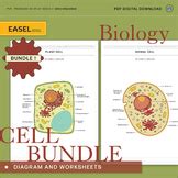 Plant Cell Diagram & Differentiated Worksheets - Science Educational ...