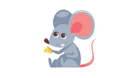 How to take care of a baby rat – ratwhisperer