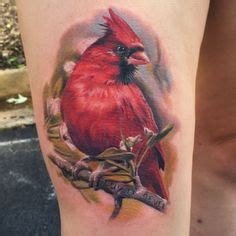 37 Cardinal Bird Tattoos ideas | cardinal bird tattoos, tattoos, cardinal tattoos