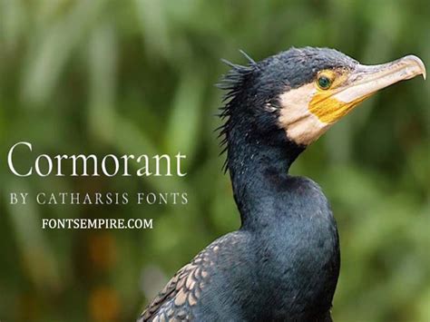 Cormorant Font Family Free Download - Fonts Empire