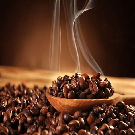 Buy Wholesale United States Usa Green Arabica Coffee Beans Price Of Raw ...