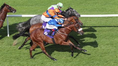 Dutching tips | What is a good horse racing market to Dutch?