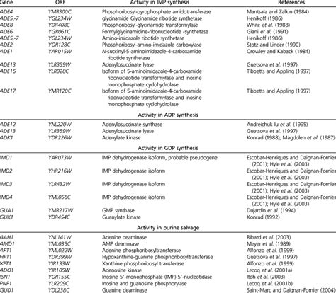 Purine metabolism genes | Download Table