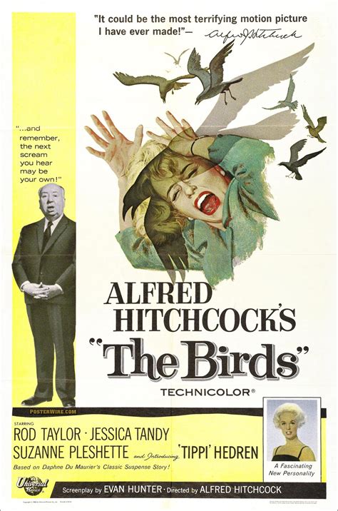 THE BIRDS (1963)