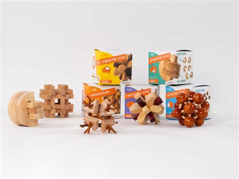 Brain Puzzles - Recent Toys