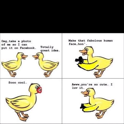 quack quack! | Funny duck, Funny memes, Rage comics